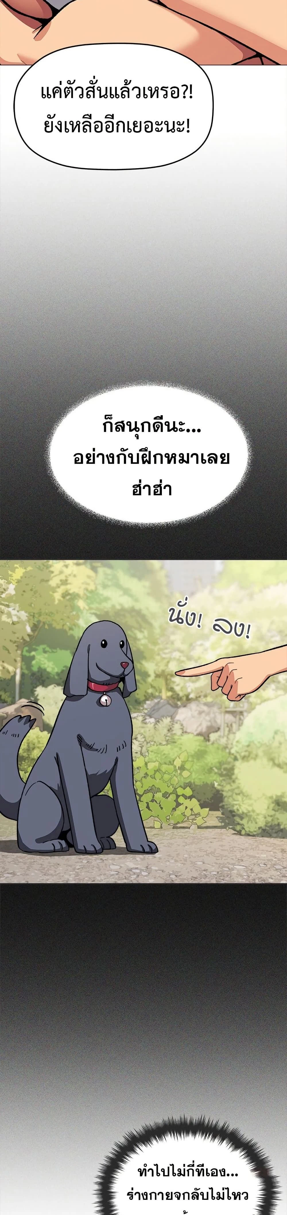 หน้าที่ 42