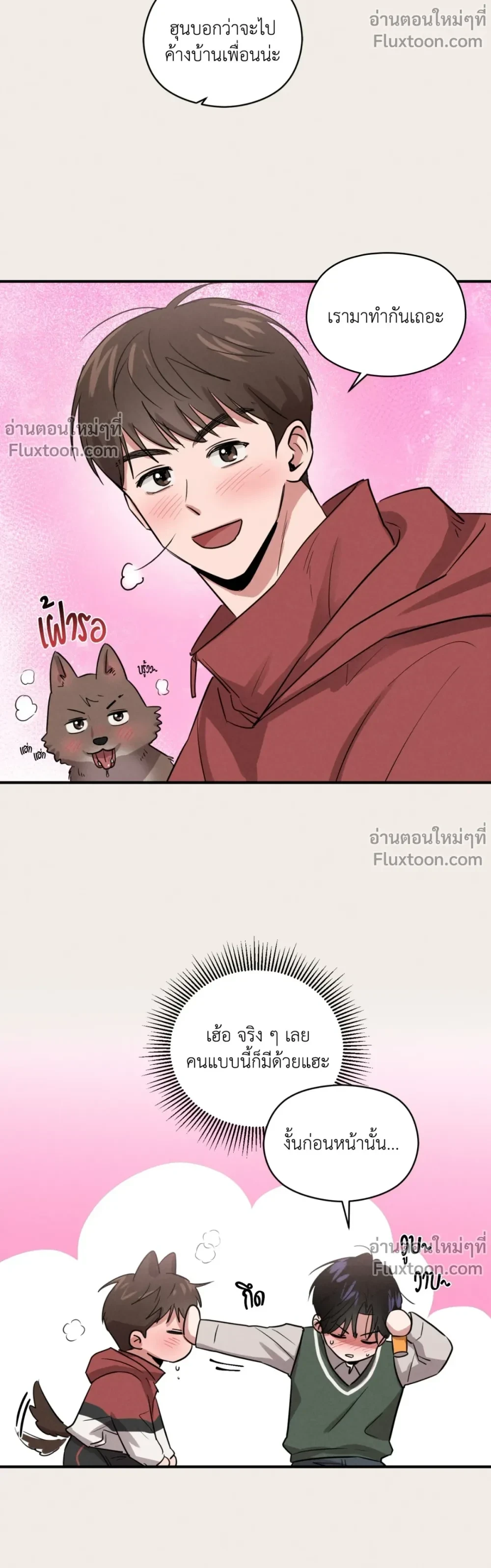 หน้าที่ 13