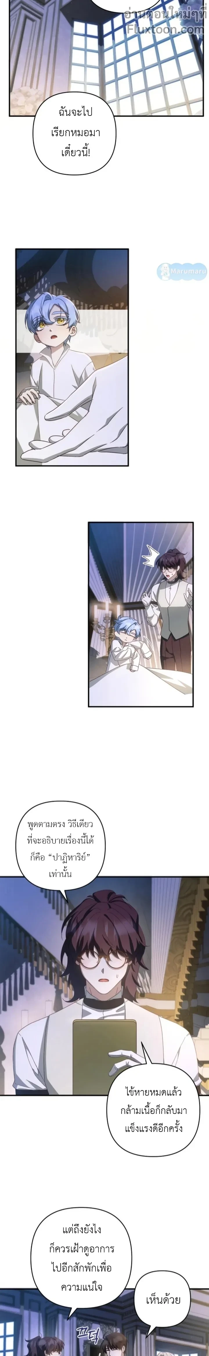 หน้าที่ 13