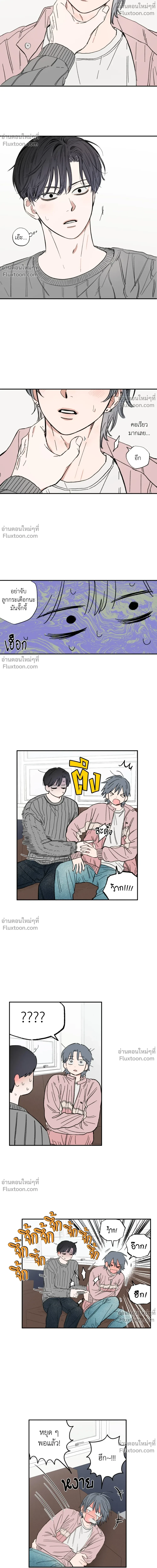 หน้าที่ 14