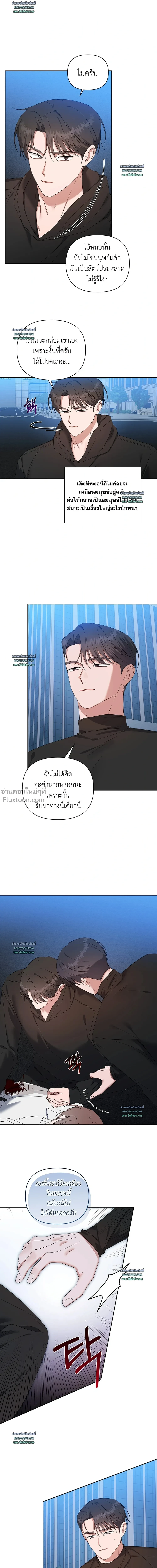 หน้าที่ 8