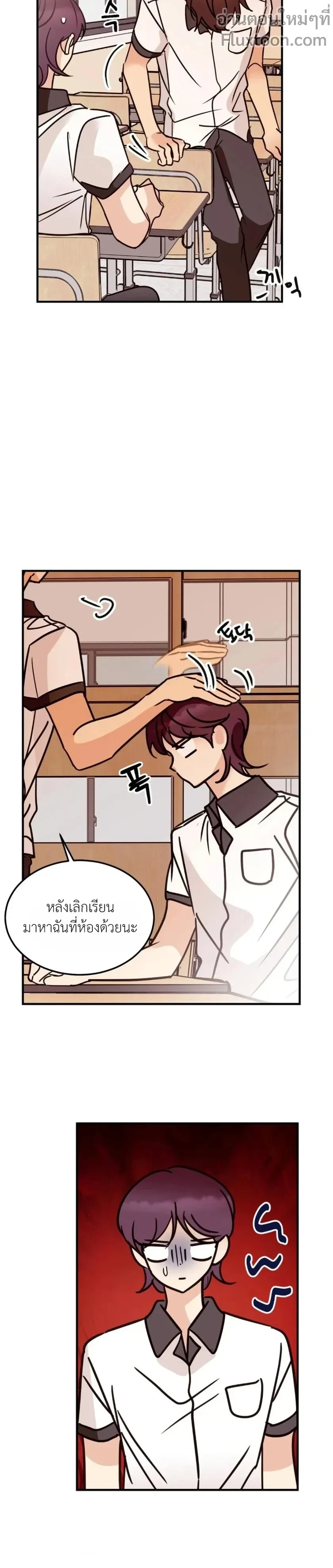 หน้าที่ 13