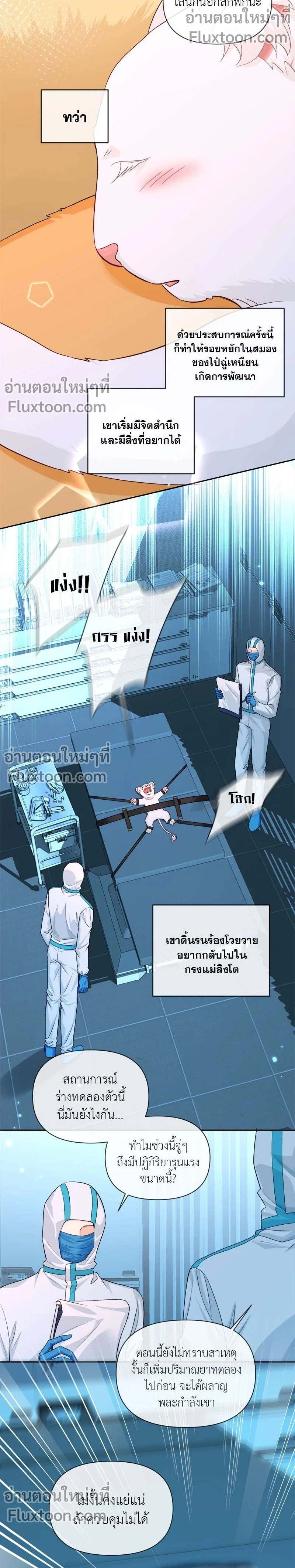 หน้าที่ 7