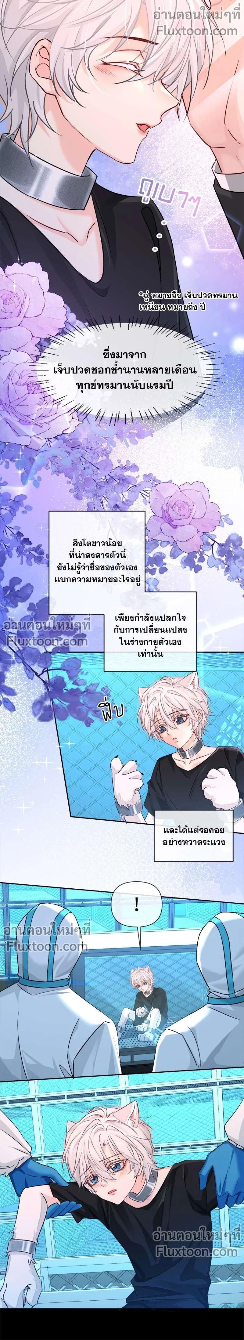 หน้าที่ 3