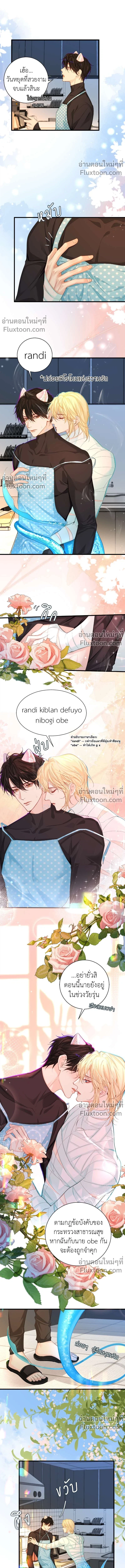 หน้าที่ 4