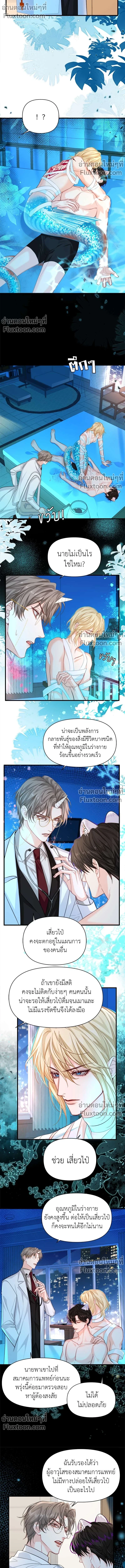 หน้าที่ 6