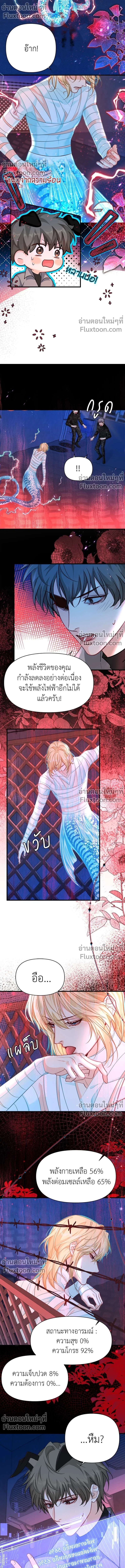 หน้าที่ 4