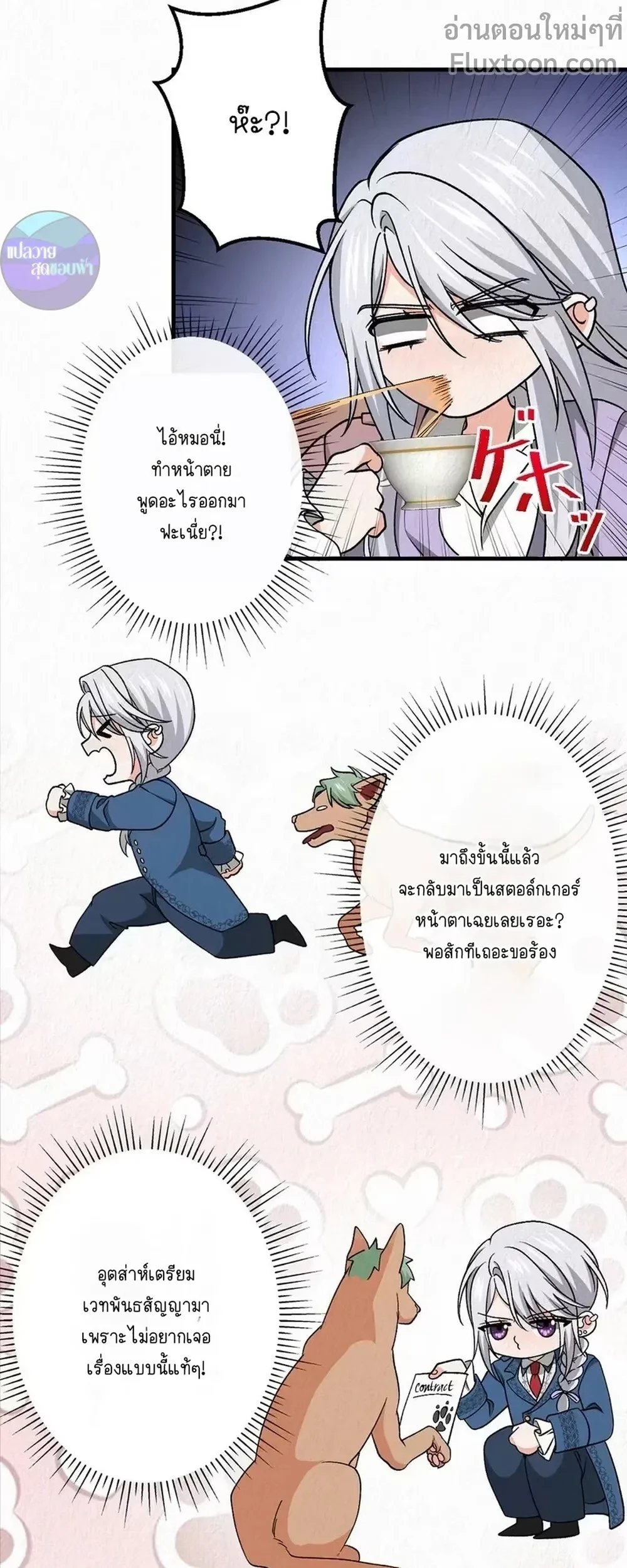 หน้าที่ 17