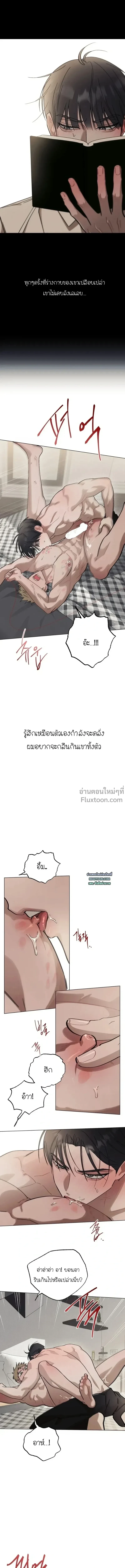 หน้าที่ 17