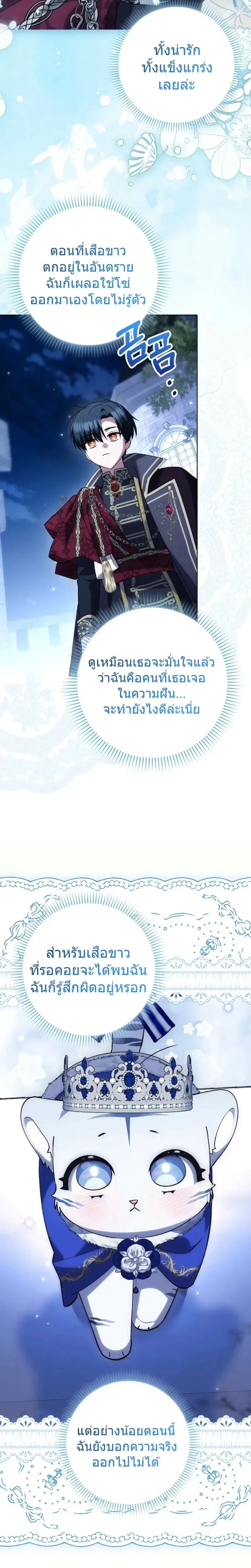 หน้าที่ 29