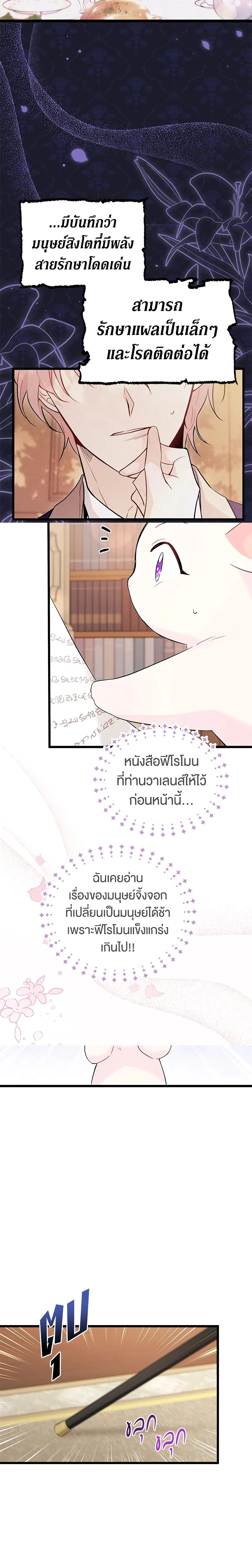 หน้าที่ 14