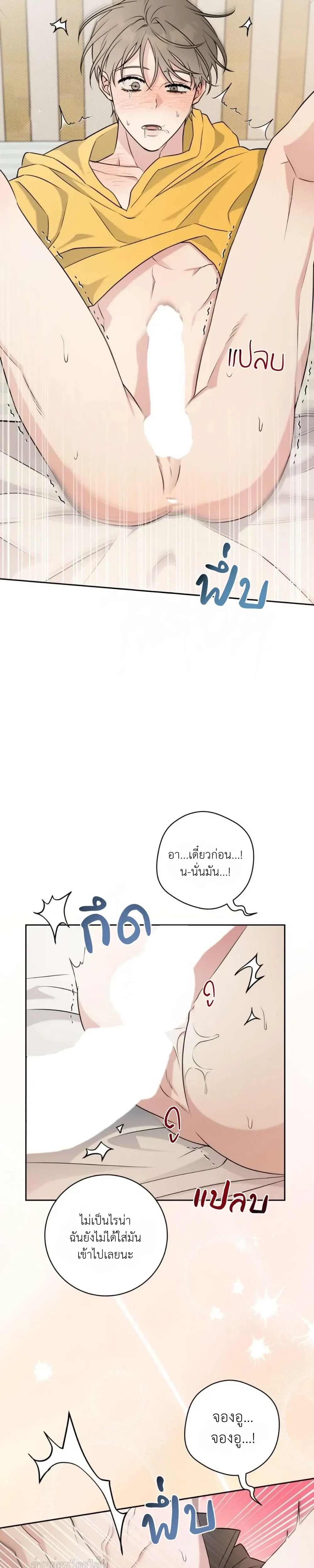 หน้าที่ 17