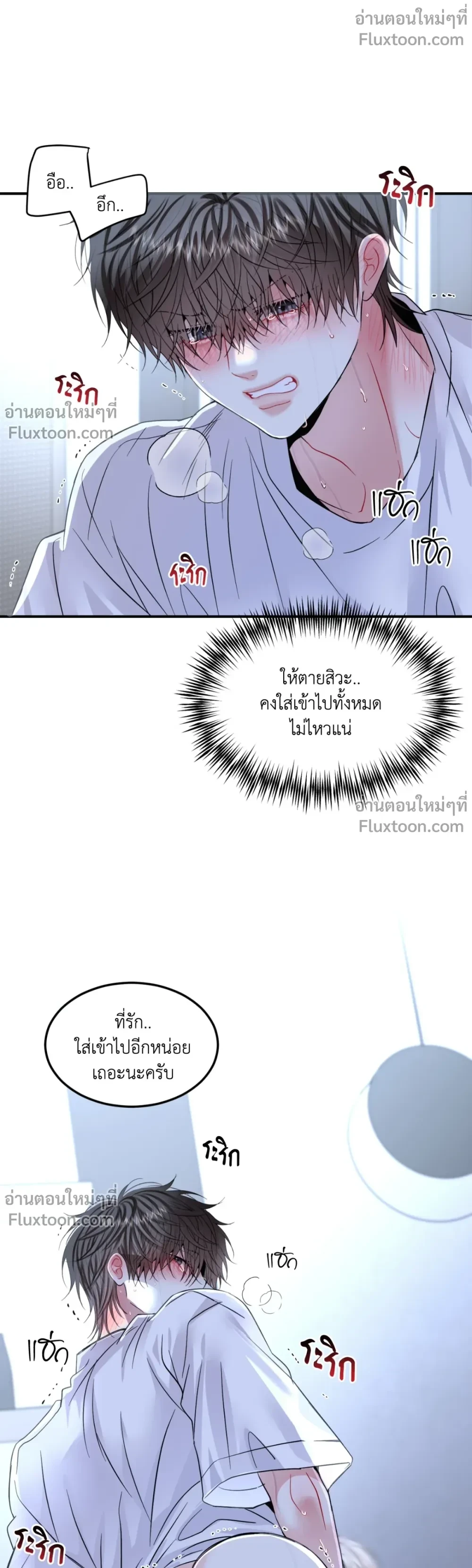 หน้าที่ 13