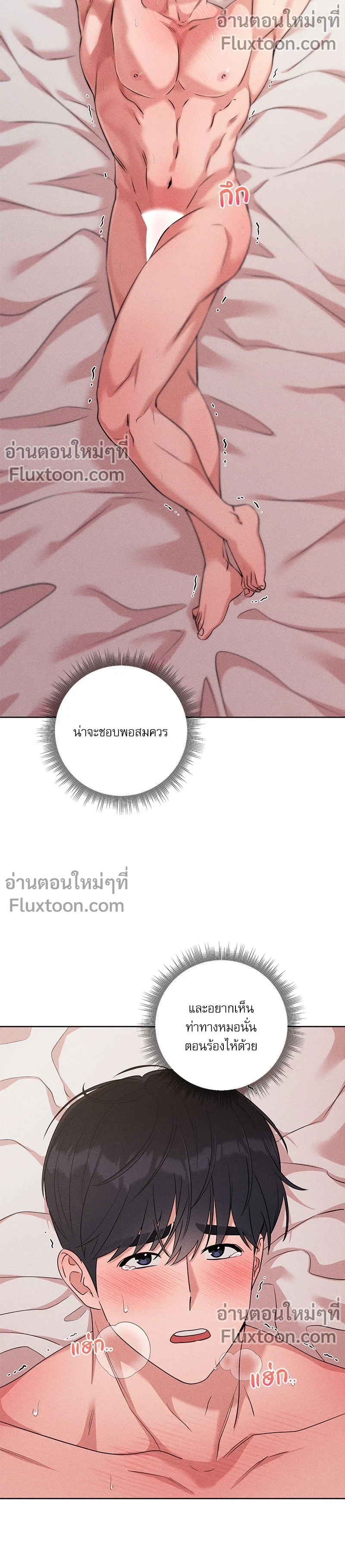 หน้าที่ 15