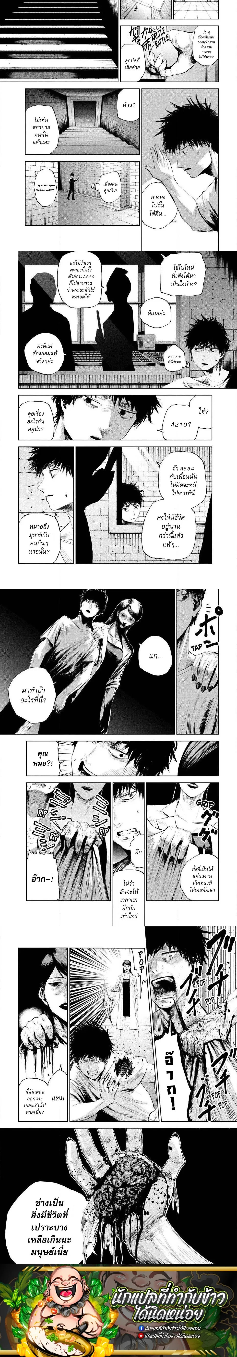 หน้าที่ 8