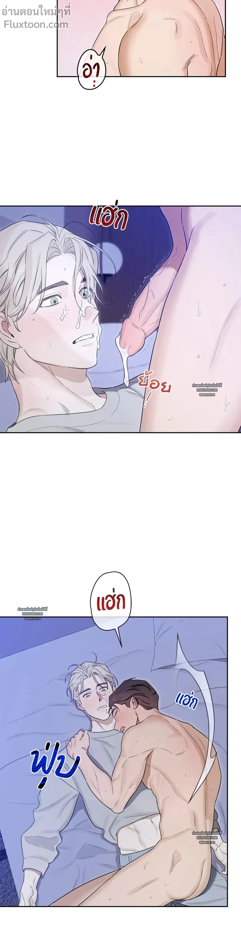 หน้าที่ 15