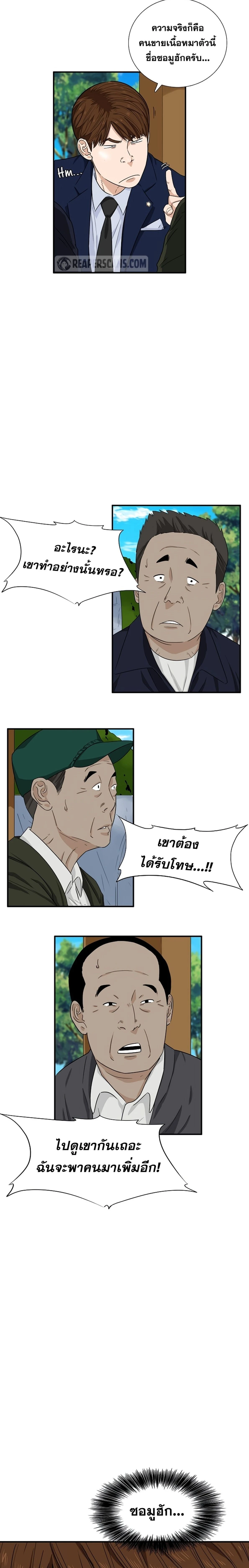 หน้าที่ 13