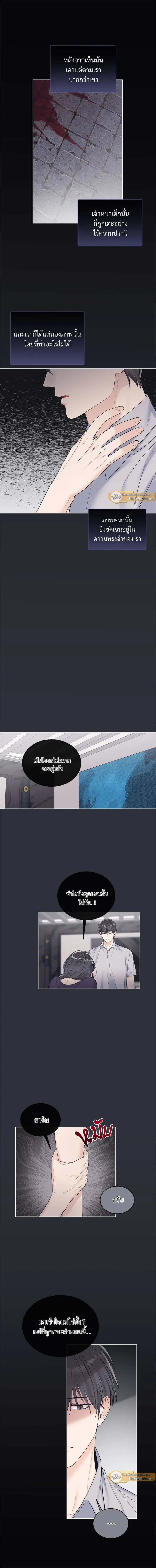 หน้าที่ 3