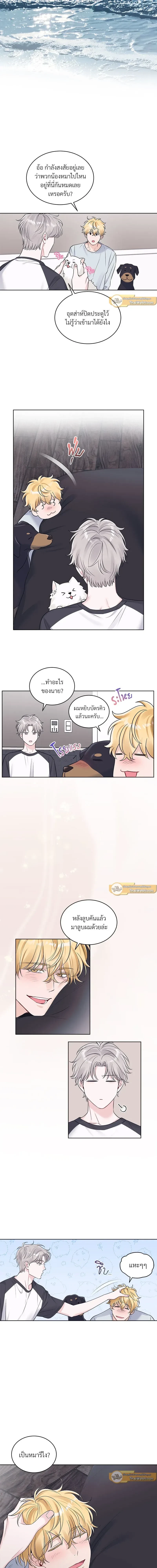 หน้าที่ 8