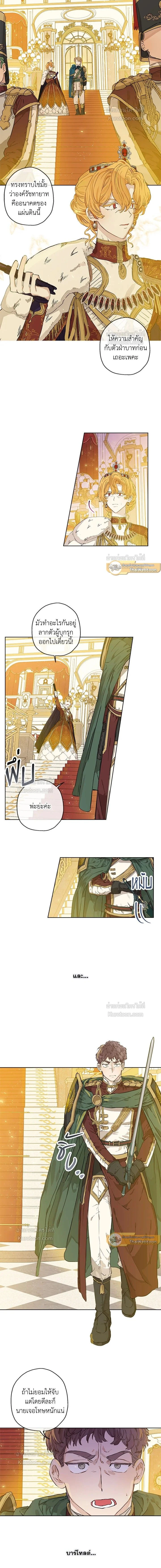 หน้าที่ 3