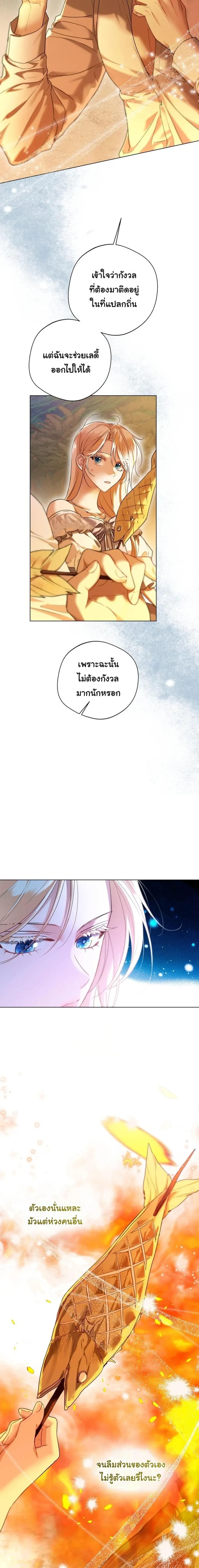 หน้าที่ 17