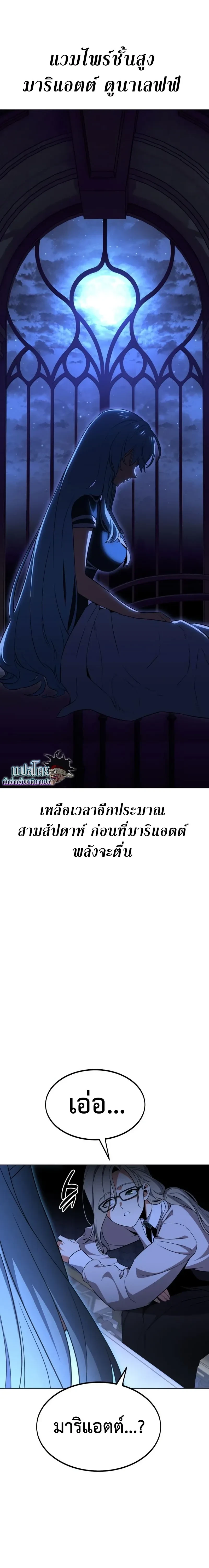 หน้าที่ 41