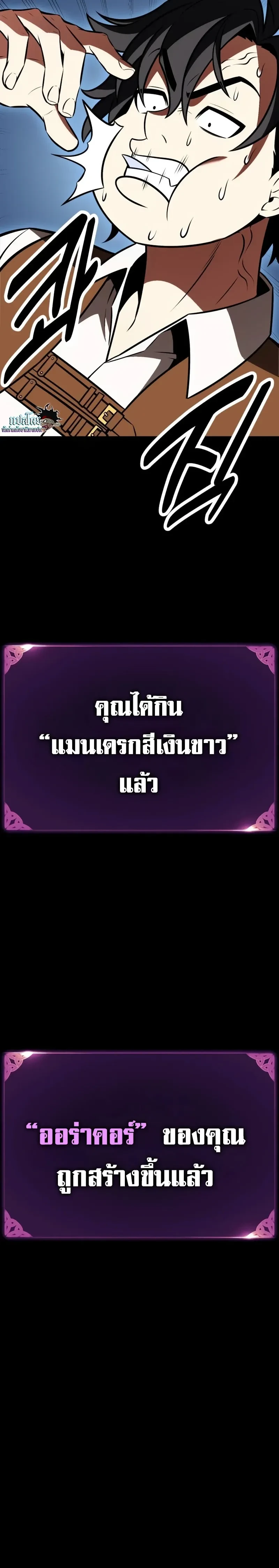 หน้าที่ 33