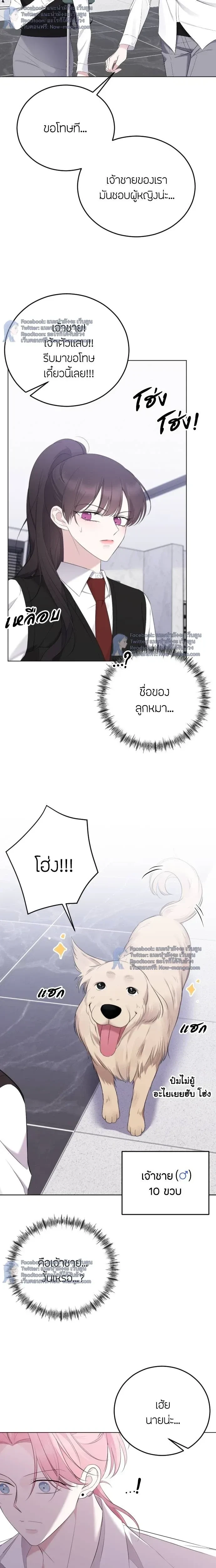 หน้าที่ 11