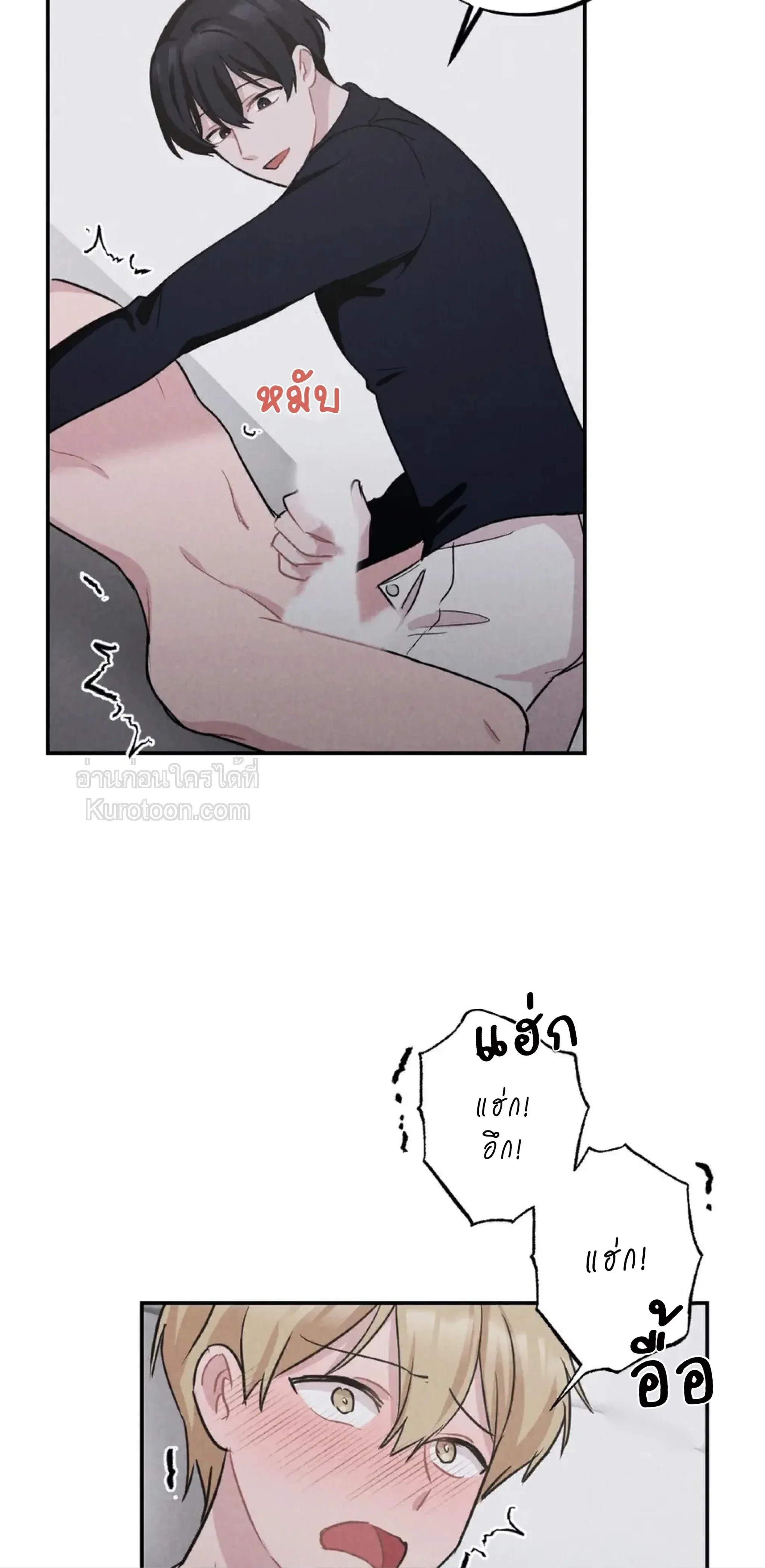 หน้าที่ 29