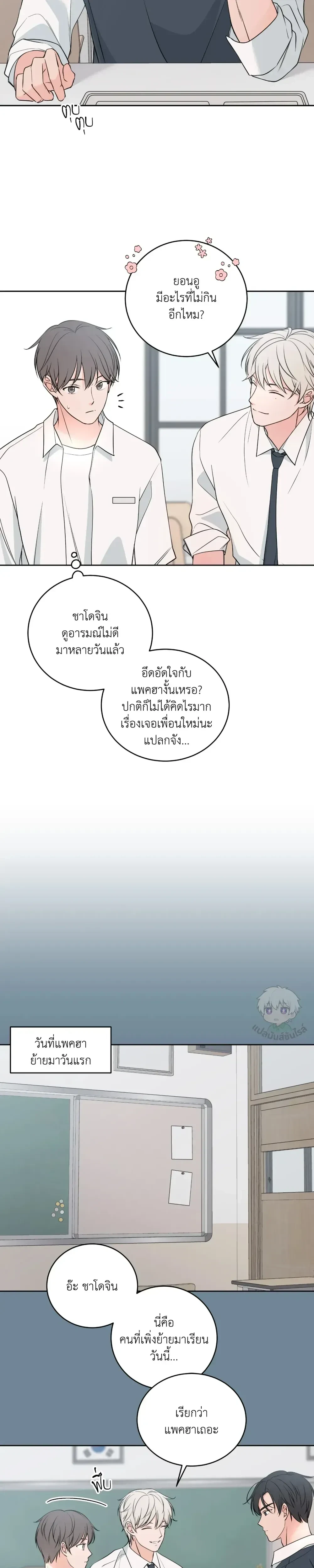 หน้าที่ 3