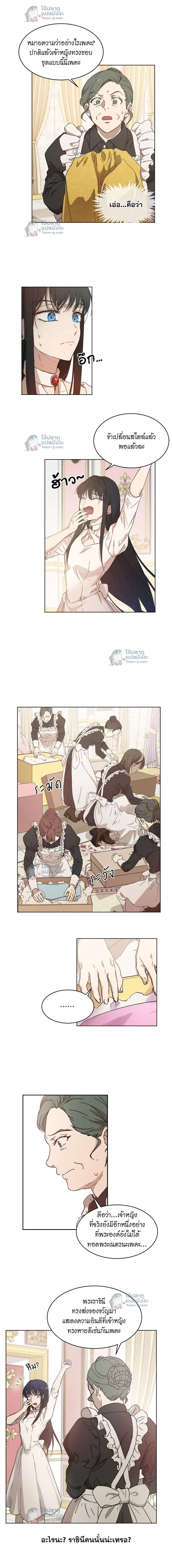 หน้าที่ 3