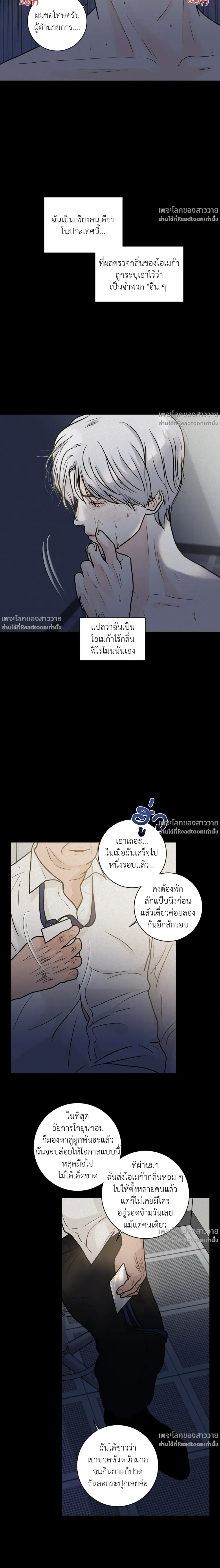 หน้าที่ 3