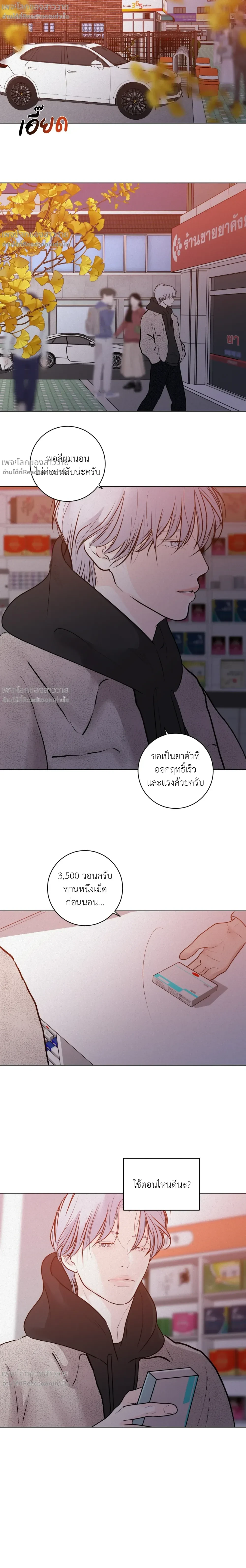 หน้าที่ 11