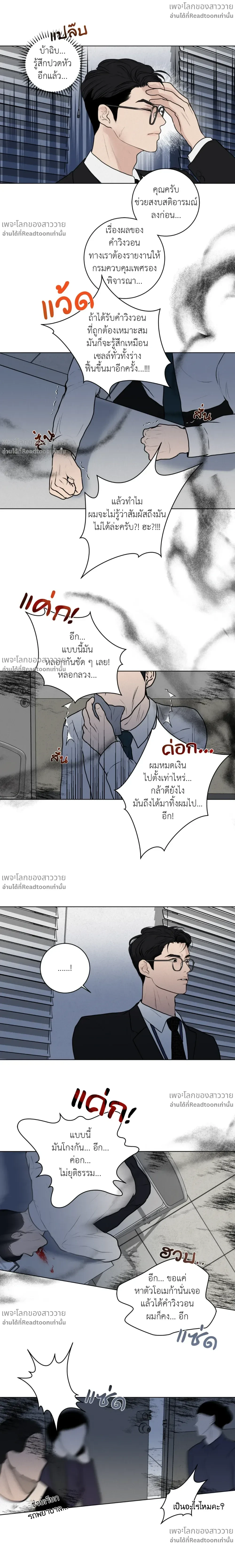 หน้าที่ 13