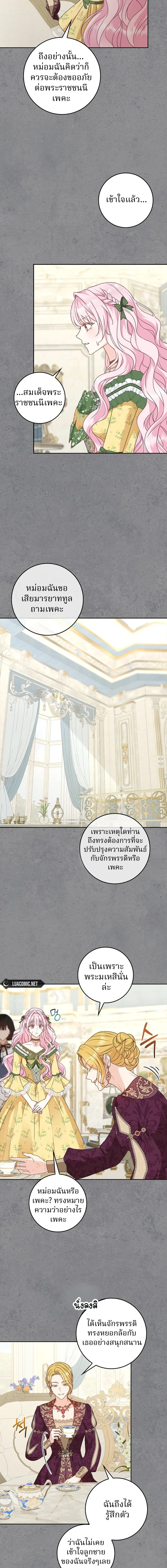 หน้าที่ 13