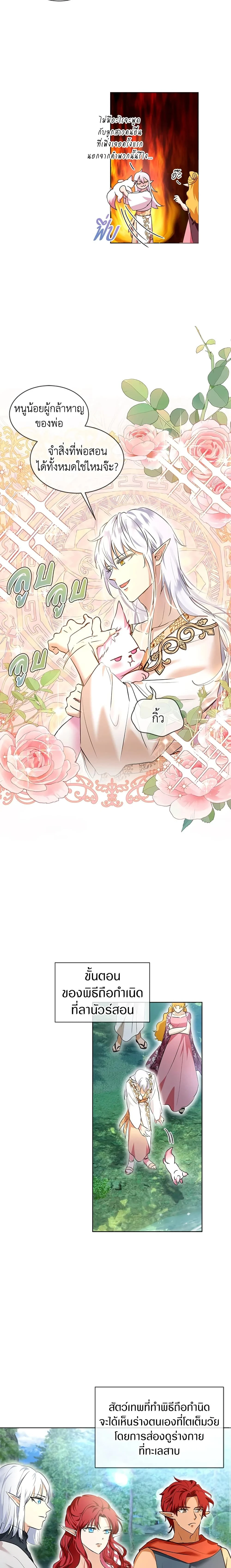 หน้าที่ 13