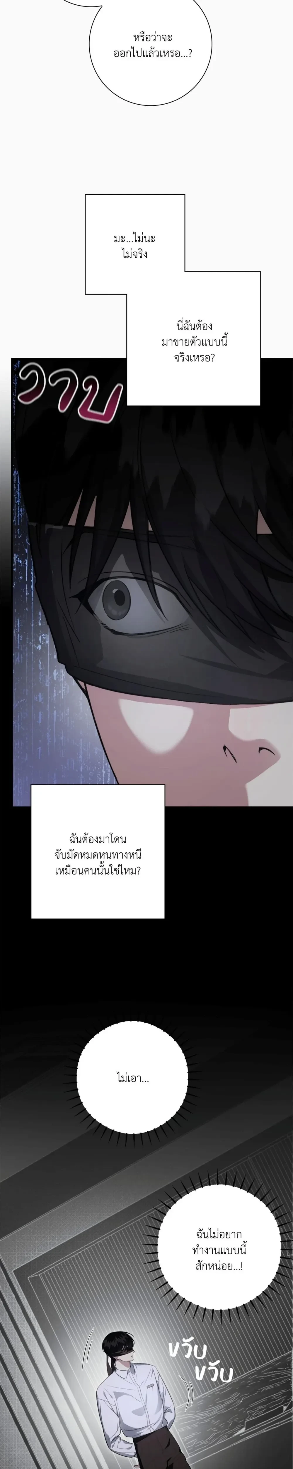 หน้าที่ 24