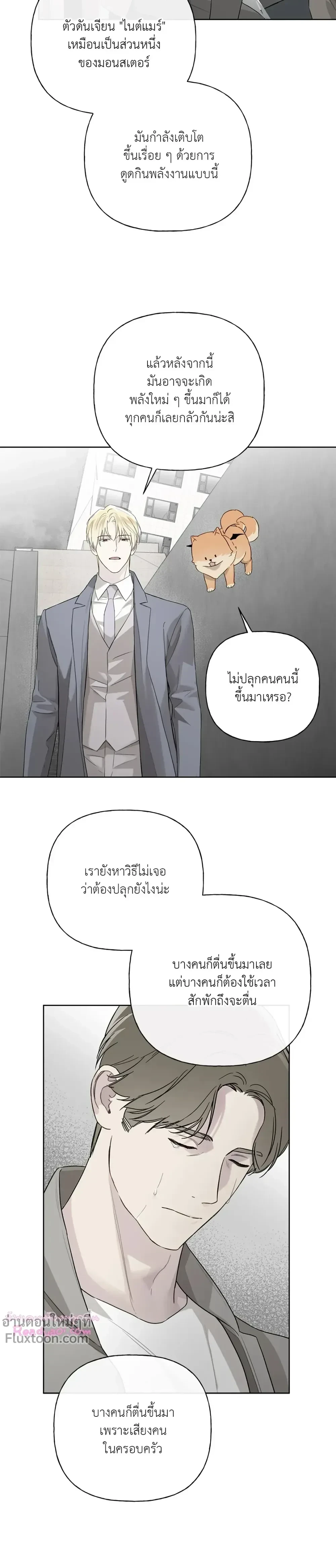 หน้าที่ 13