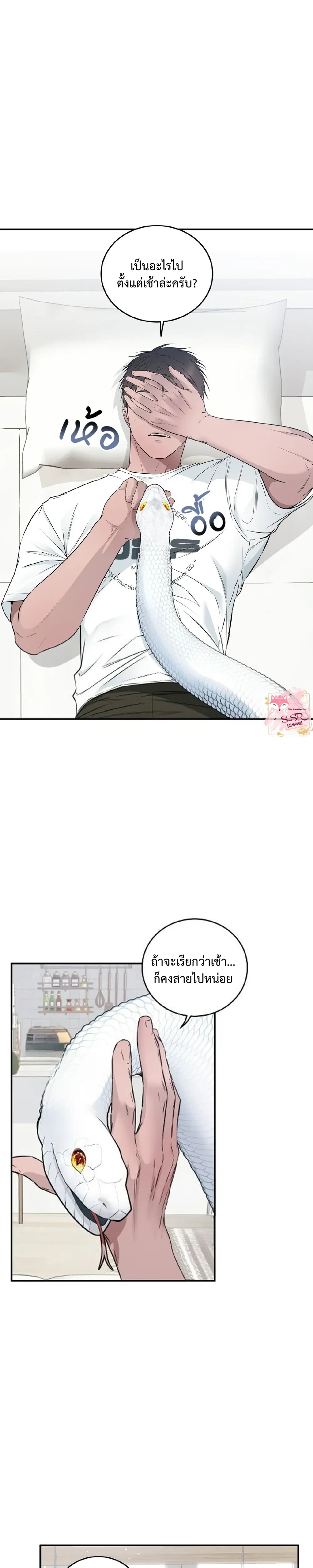 หน้าที่ 19