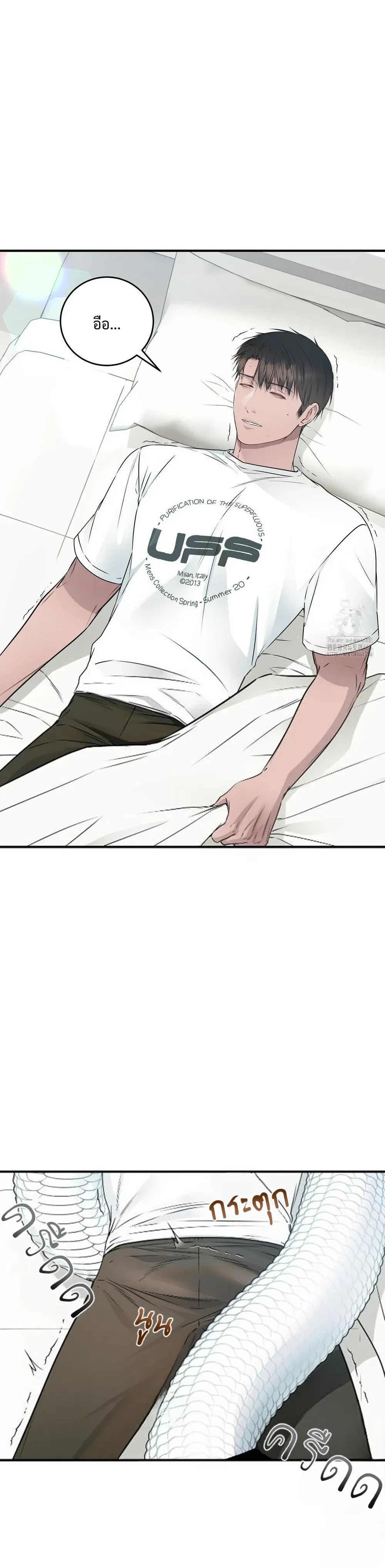 หน้าที่ 17