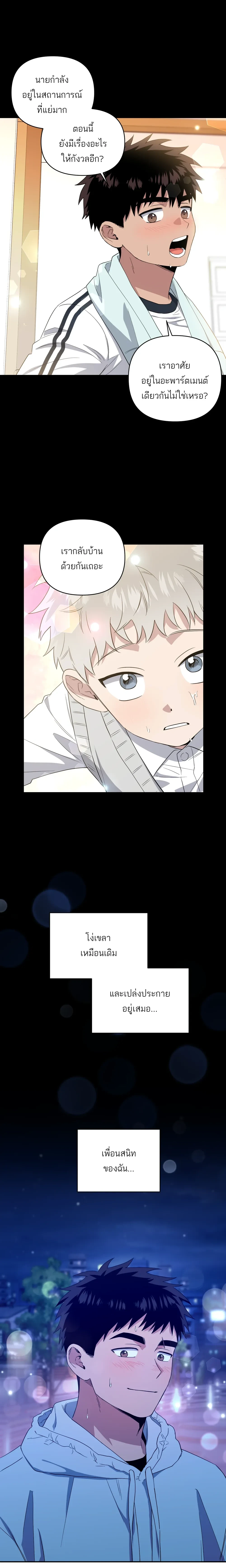 หน้าที่ 13