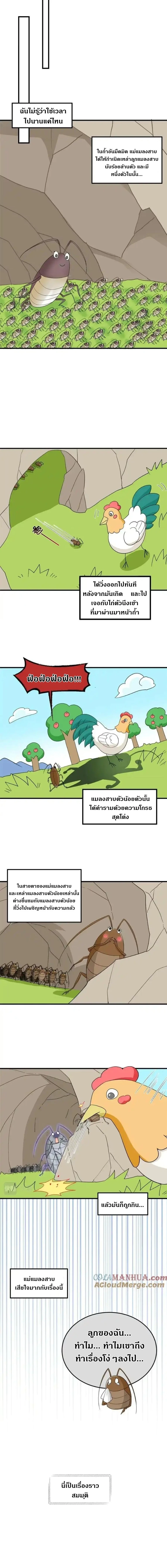 หน้าที่ 5