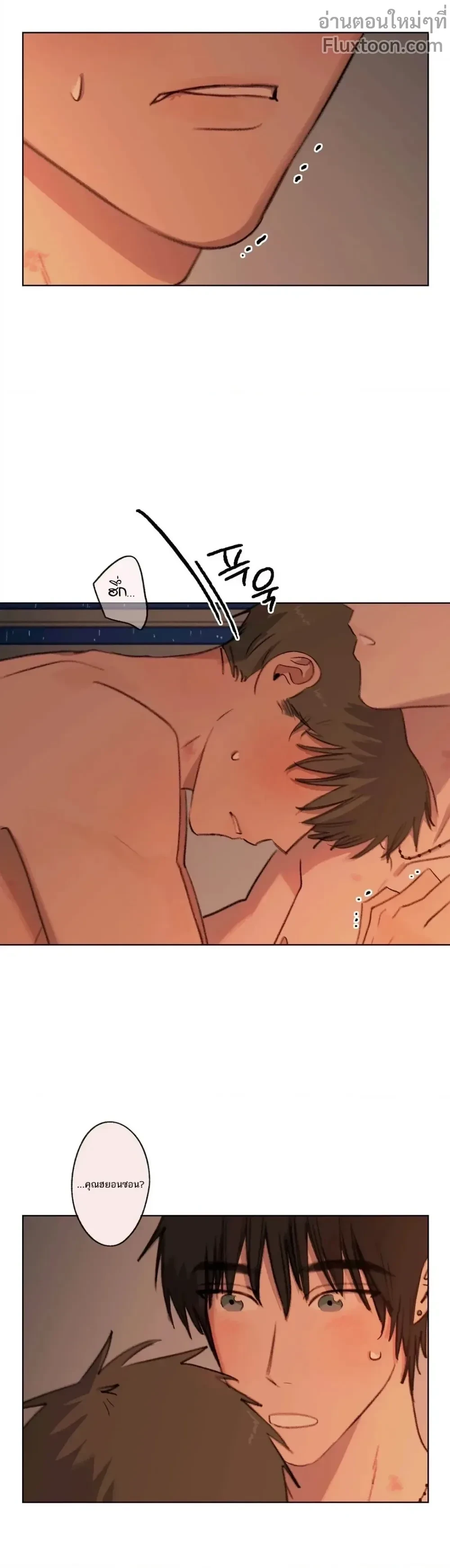 หน้าที่ 13