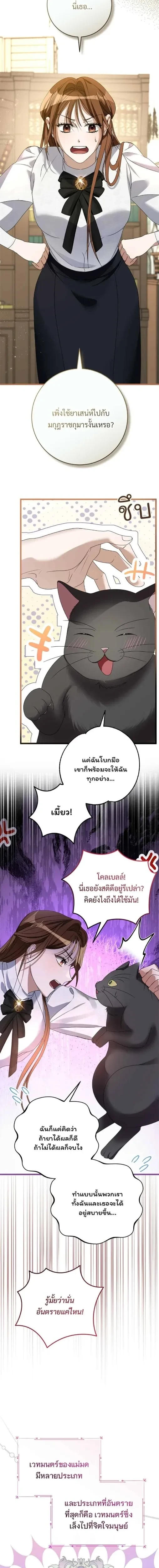 หน้าที่ 29