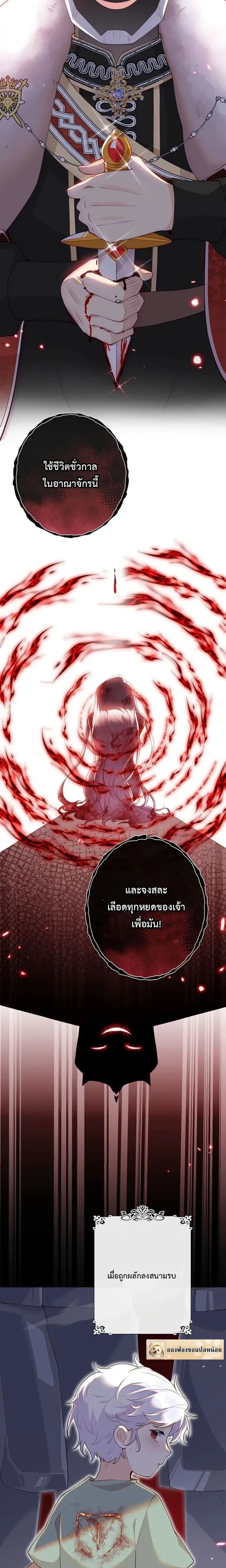 หน้าที่ 11