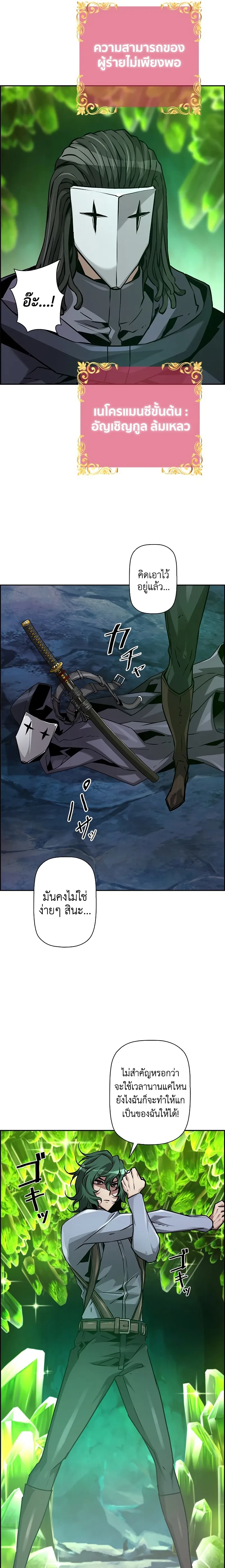 หน้าที่ 13