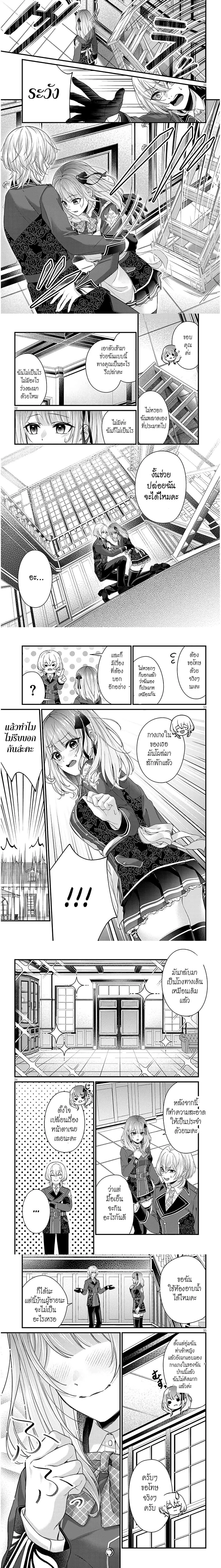 หน้าที่ 11