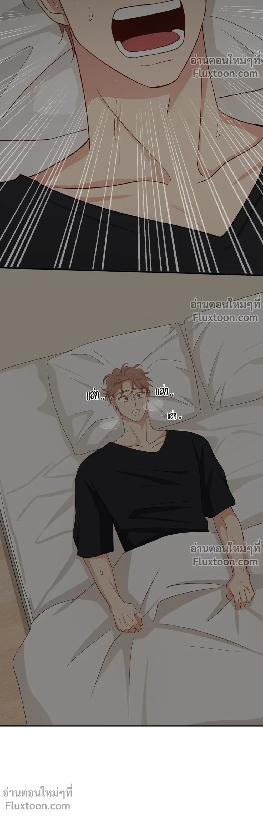 หน้าที่ 17