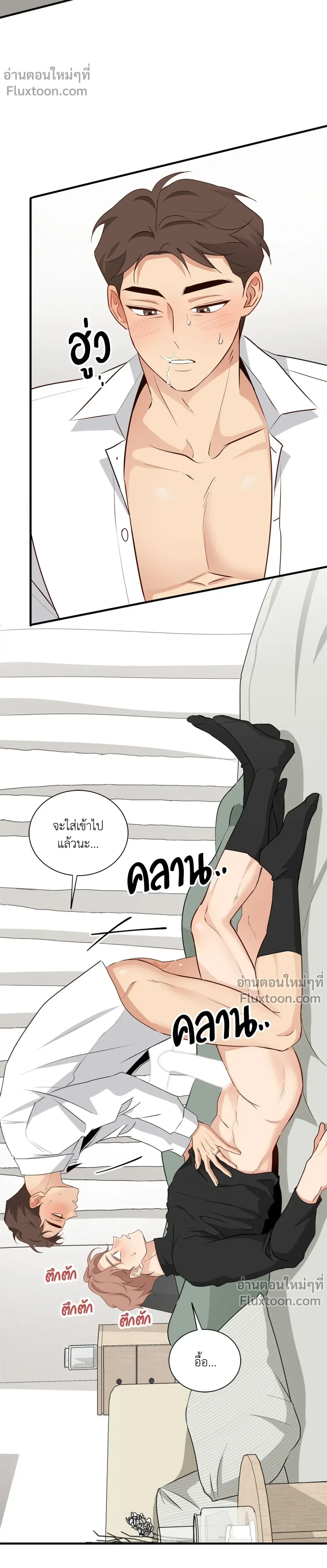 หน้าที่ 13