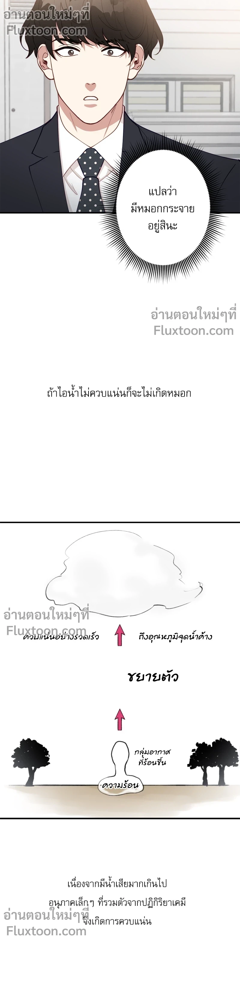 หน้าที่ 13